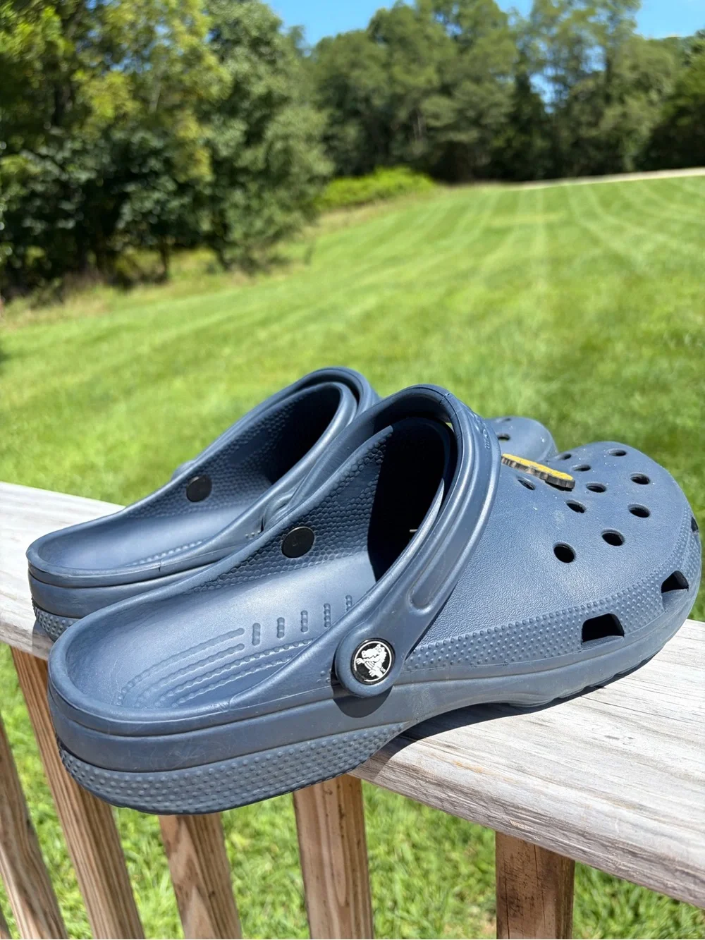 Crocs Blue Men’s Size 12 -Adult Classic Clogs With Charms The Office Harry